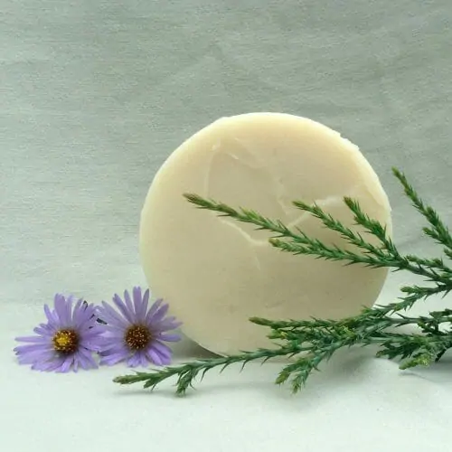 Woodsman Shaving Soap